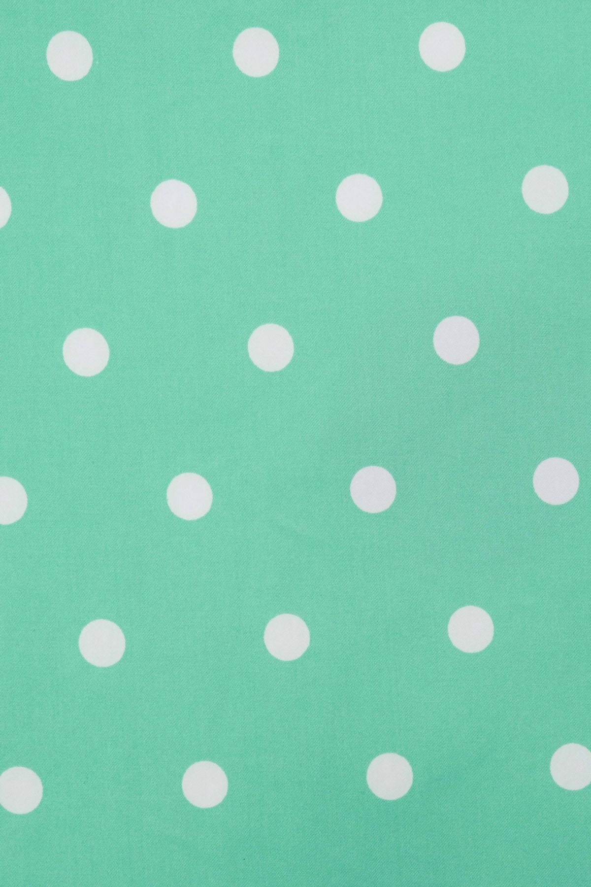 Amanda Scoop Neck Polka Dot Swing Dress in Mint and White