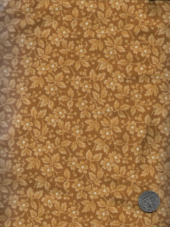 Chrysanthemum
