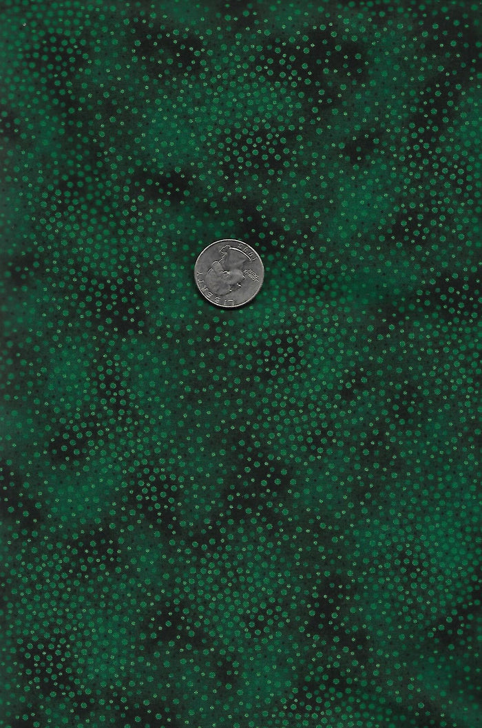 Spotsy