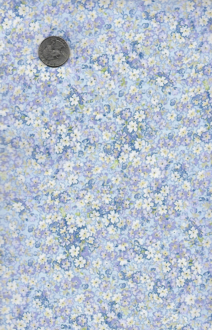 Sugar Lilac