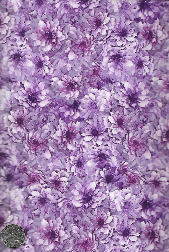 Tina's Garden