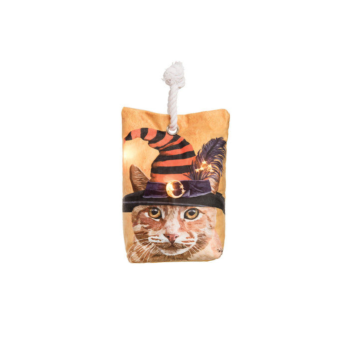 A Witch Cat-Chunk LED Doorstop.