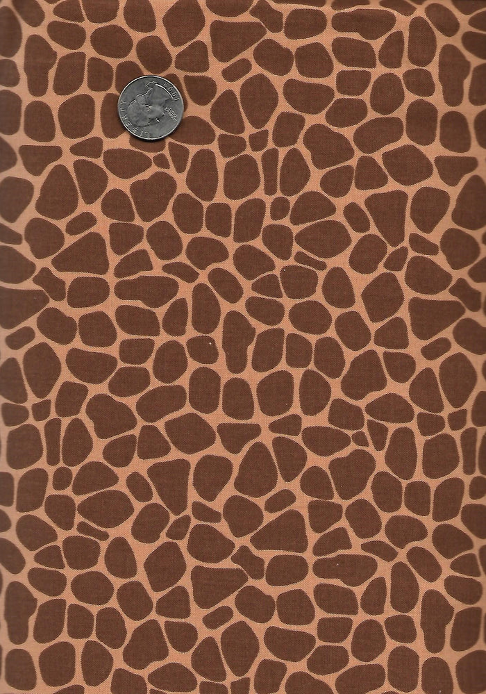 Zoe the Giraffe