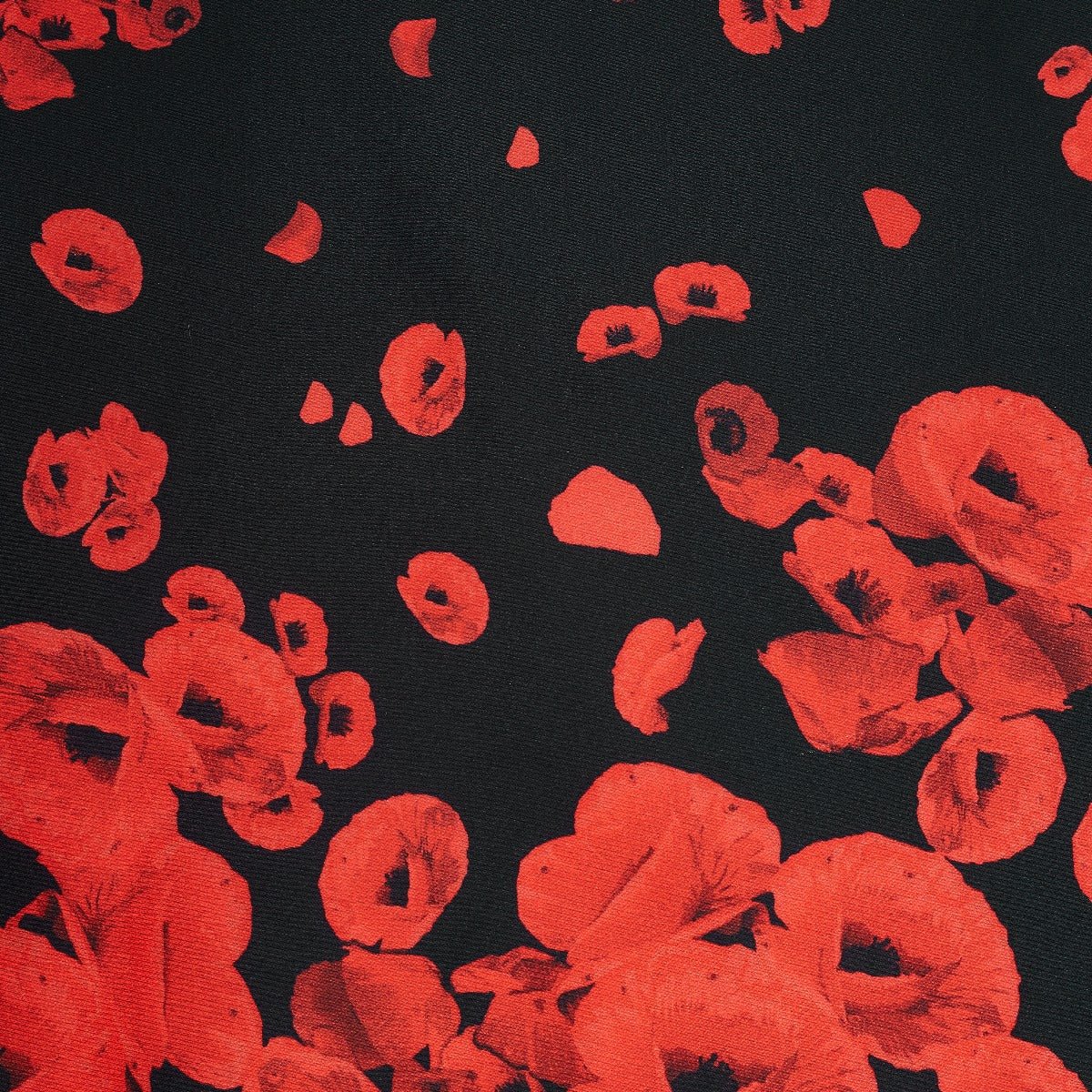 Claudia Classic Fifties Style Black-Red Raising Poppy Flower Dress