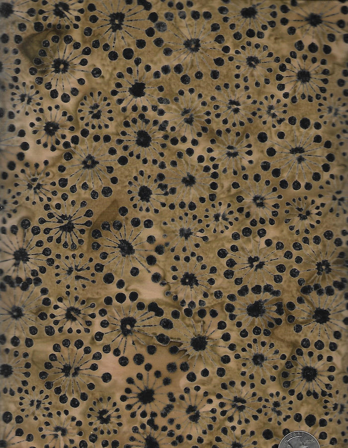 223-01