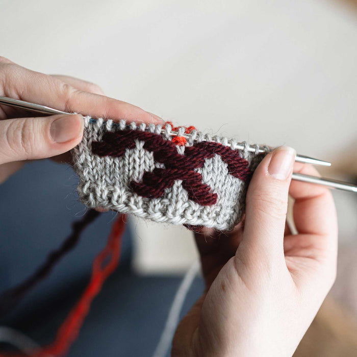 8.20.25 Roosimine: Estonian Inlay Knitting with Aleks Byrd
