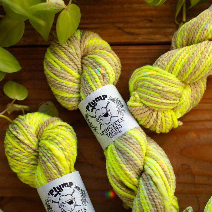 Bad Egg: Spincycle Yarns PLUMP