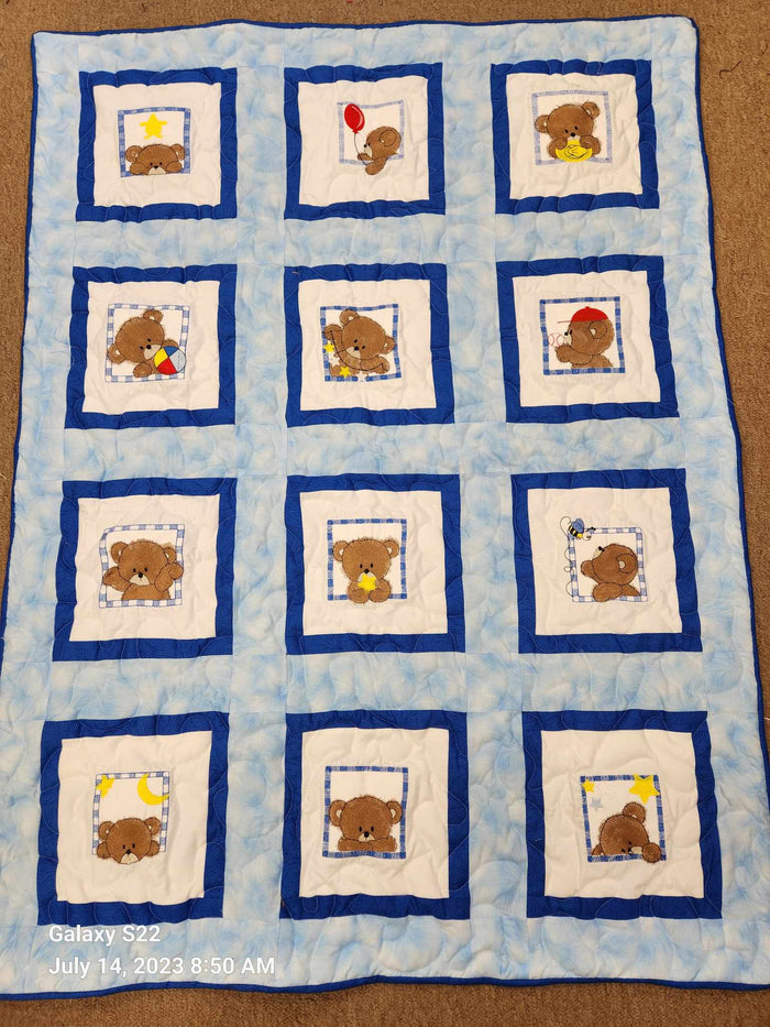 Bears - Boy Bears in Windows