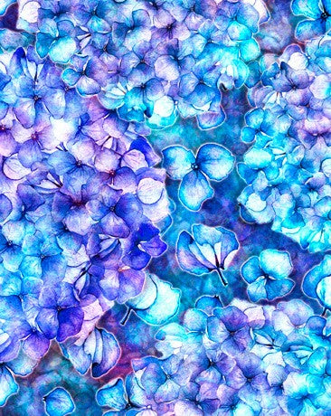 Blossom Hydrangeas