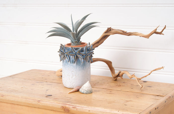 A Chinoiserie Sea Star Container.