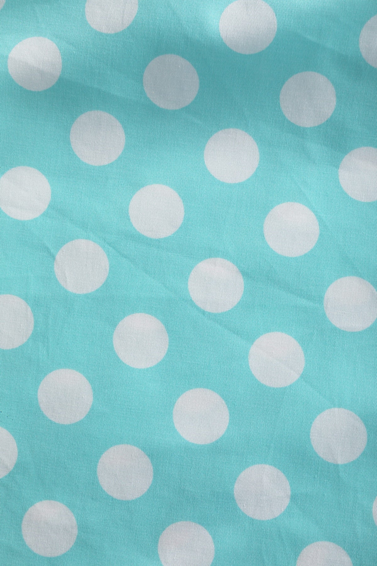 Blair Turquoise Polka Dot Mesh Dress