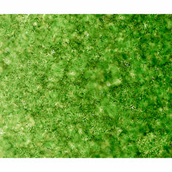 Effervescence Green