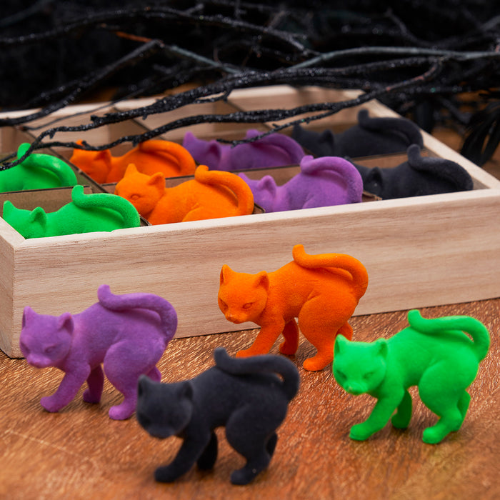 A Flocked Scaredy Cat In Box, Set of 12.