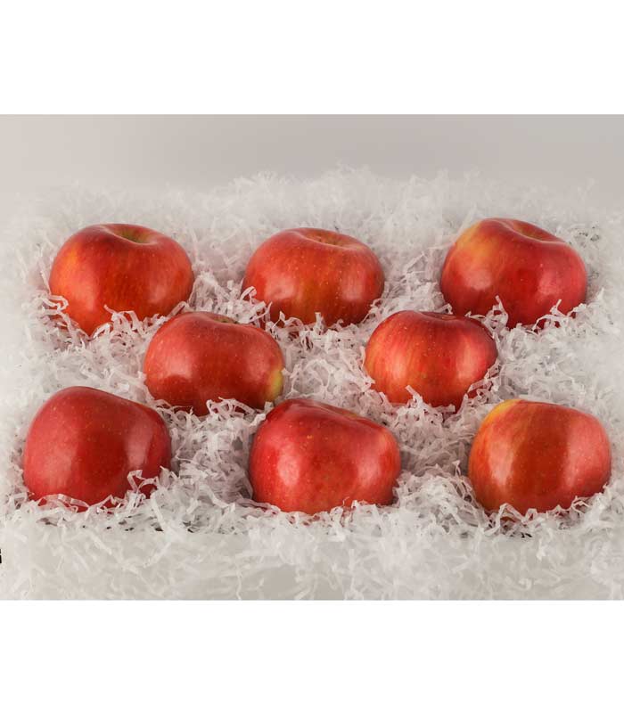 Sugar Bee Apple Gift Box