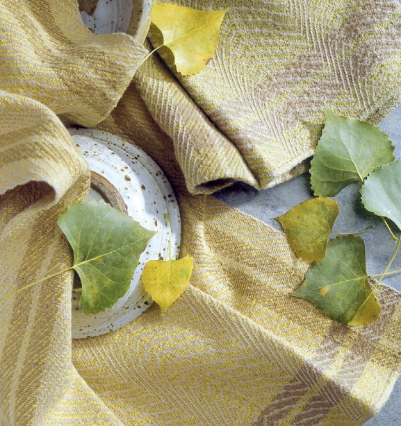 Handwoven's Master Weavers Collection: Favorite Projects and Lessons from Sharon Alderman