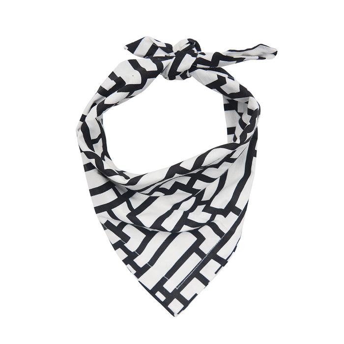 A pet scarf 2, set of 5.