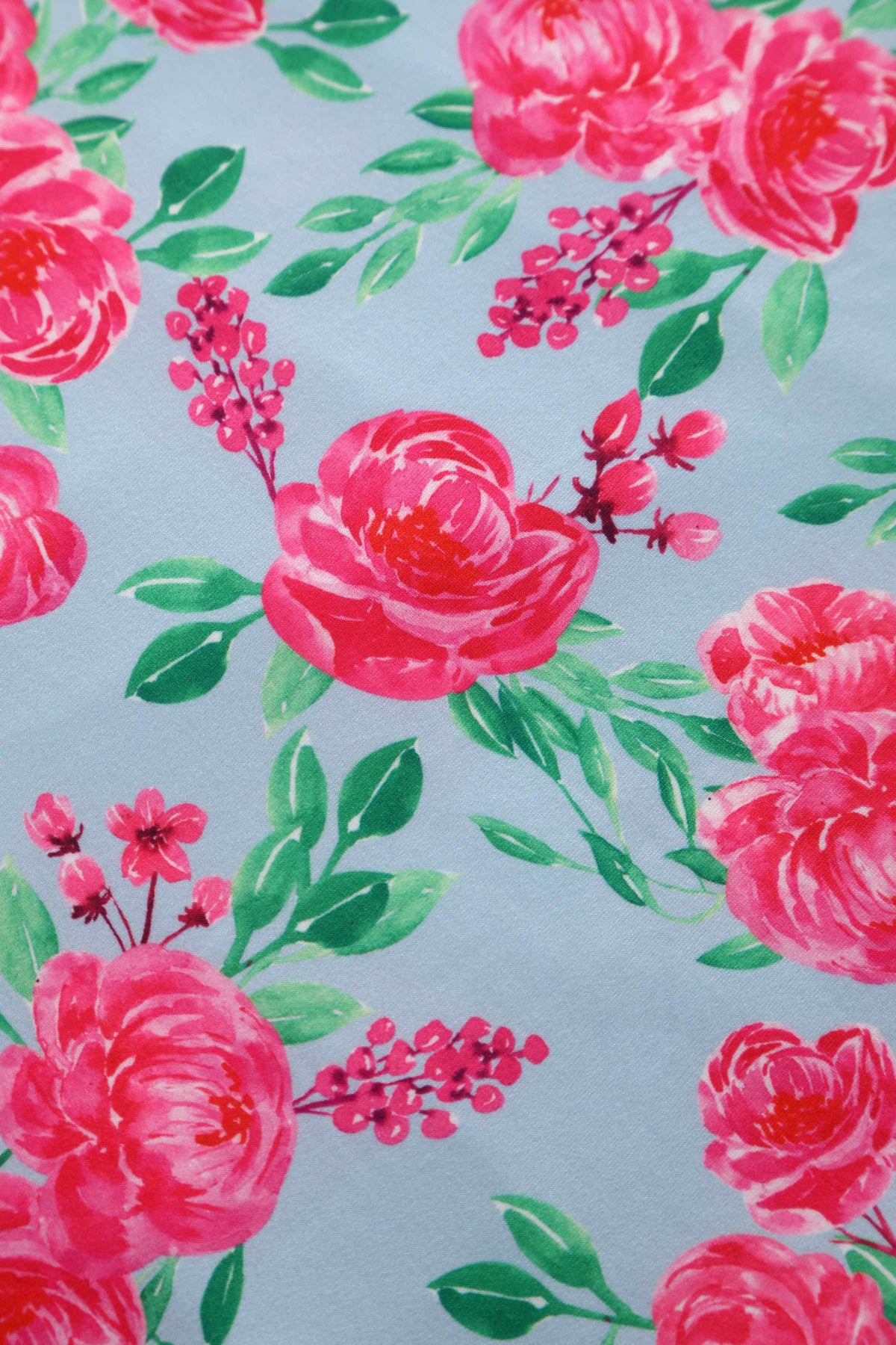 Julia Pink Rose Midi Dress In Baby Blue