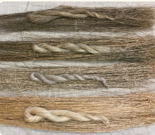 PLY Magazine, Issue 20: Flax