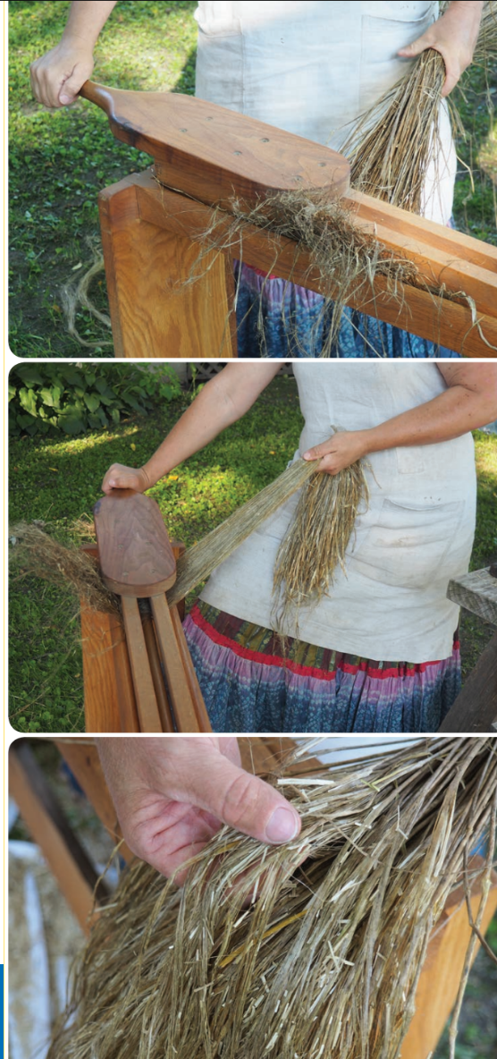 PLY Magazine, Issue 20: Flax