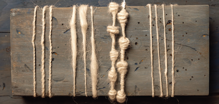 PLY Magazine, Issue 50: Plants