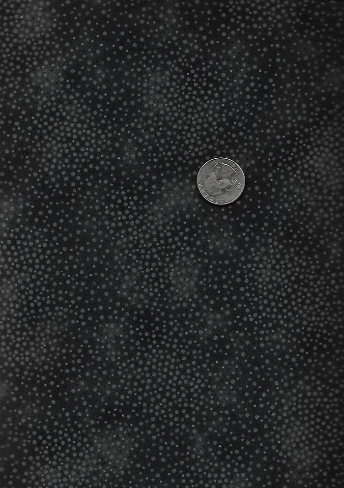 Spotsy