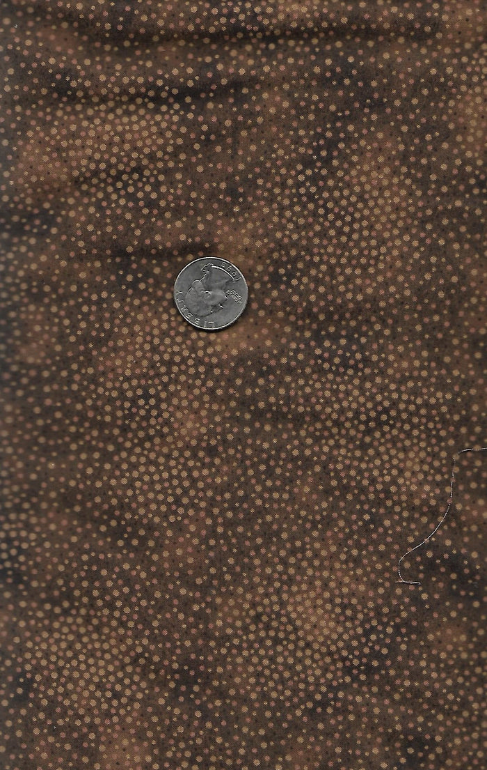 Spotsy