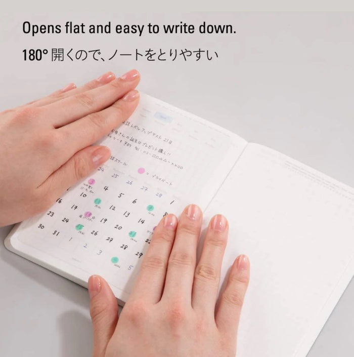 Stalogy 365 Days Notebook - B6
