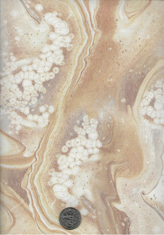 Swish Dark Cream
