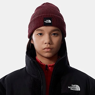 The North Face - Black Box Beanie - Regal Red-Accessoires-NF0A55KCD4S