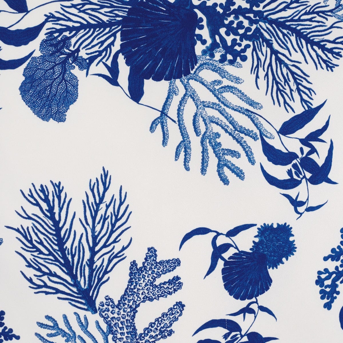Amanda Underwater Print & Shells, Corals Algae